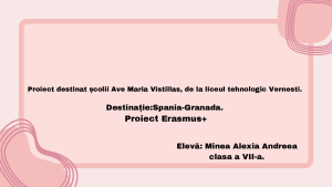 Pink Maroon Minimalist Aesthetic Simple Presentation_20250412_142341_0000